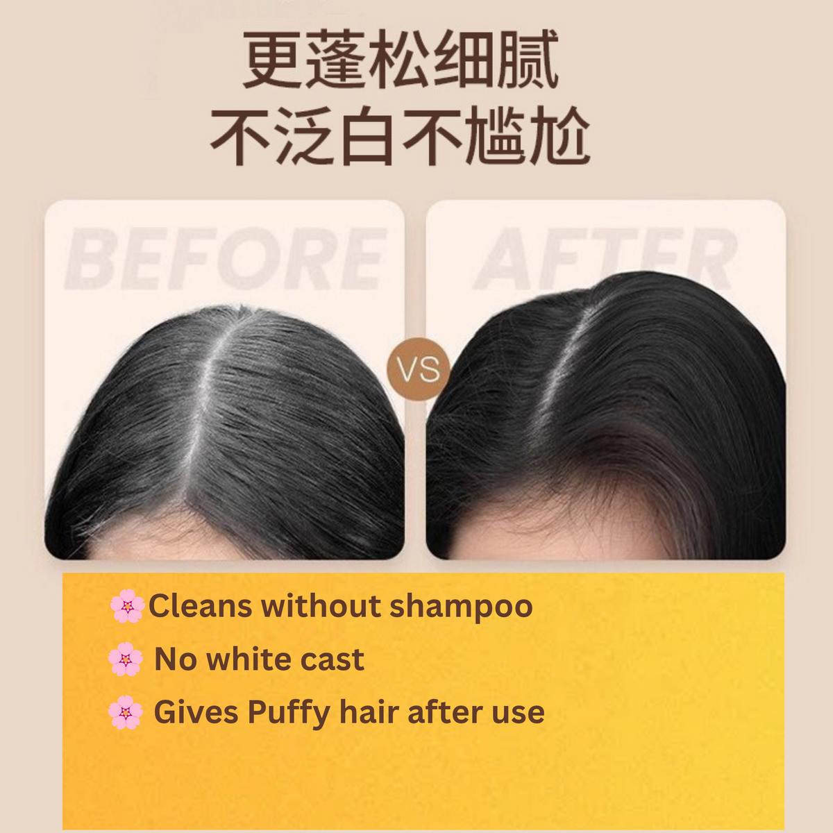 GINBI Oil Control Volumizing Leave-In Dry Shampoo Spray