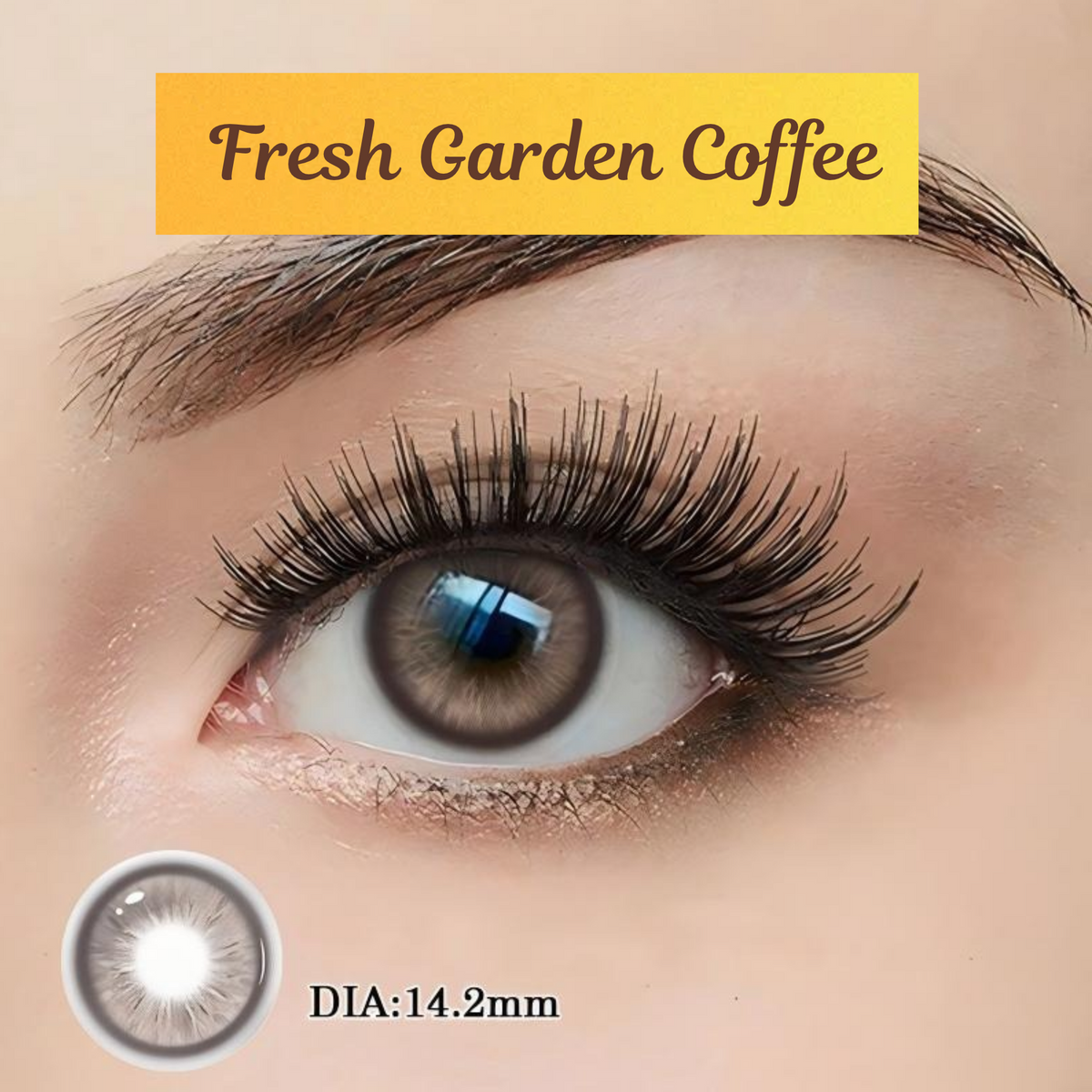 Jhen Color Contact Lens kit (case and tools included)